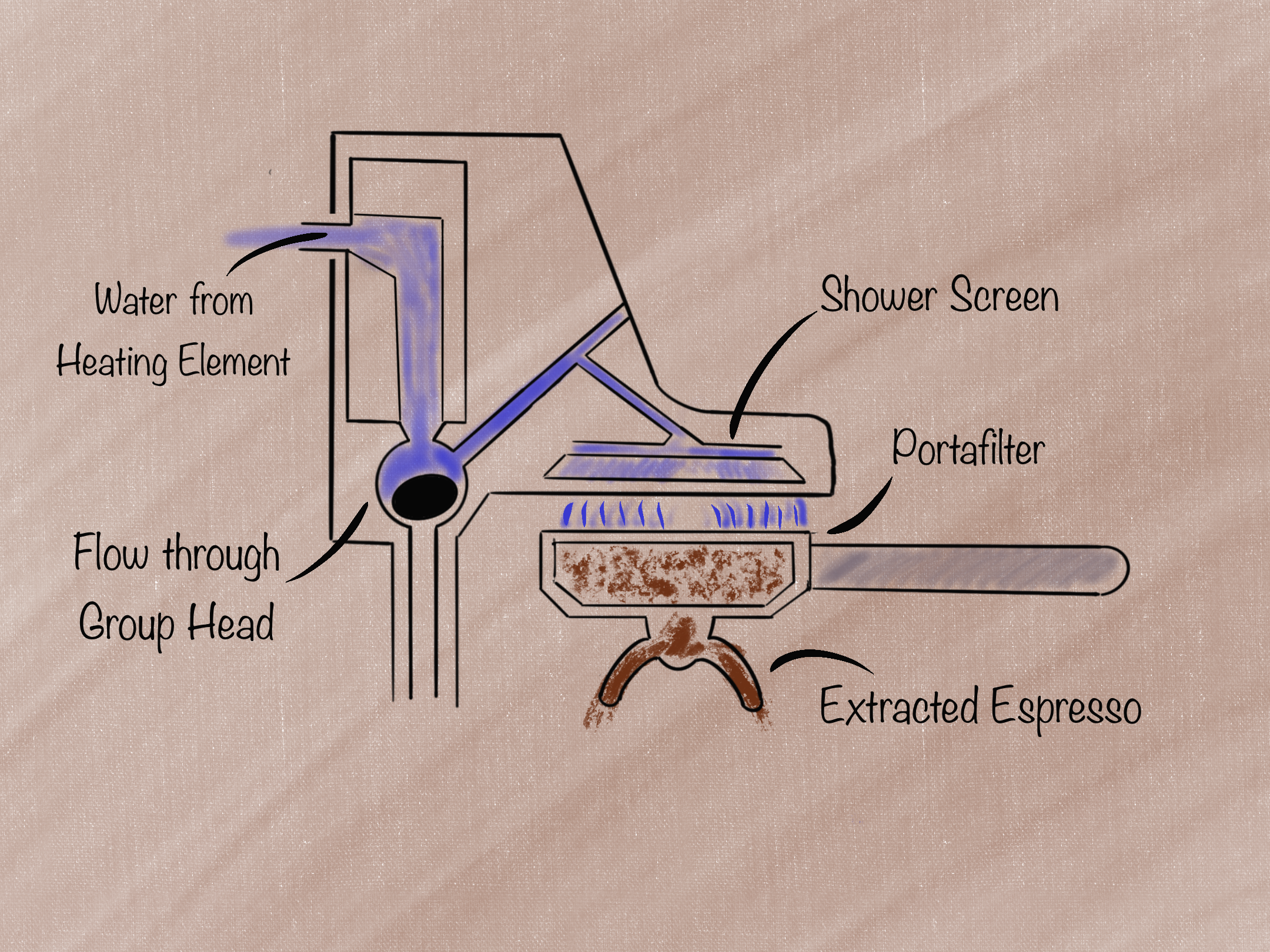 Espresso Machine Brew Group