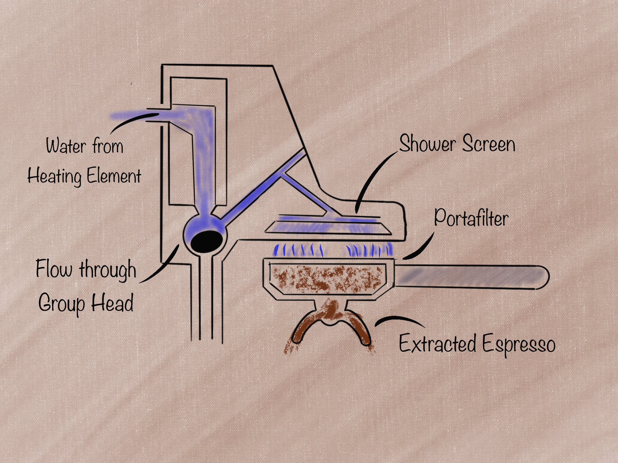 Espresso Machine Brew Group Diagram