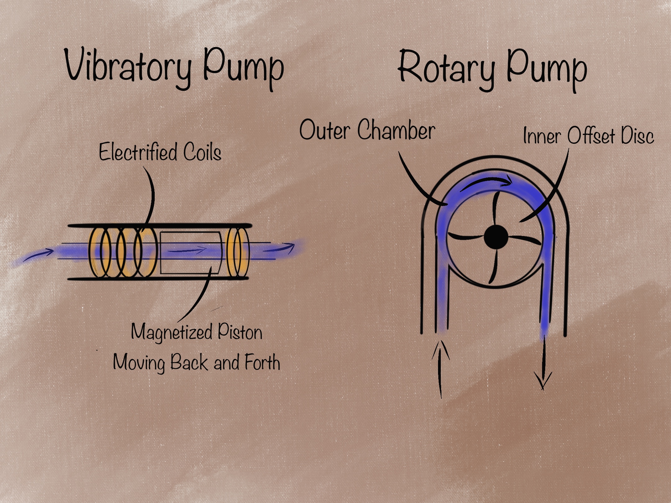 Espresso Machine Water Pump Diagram