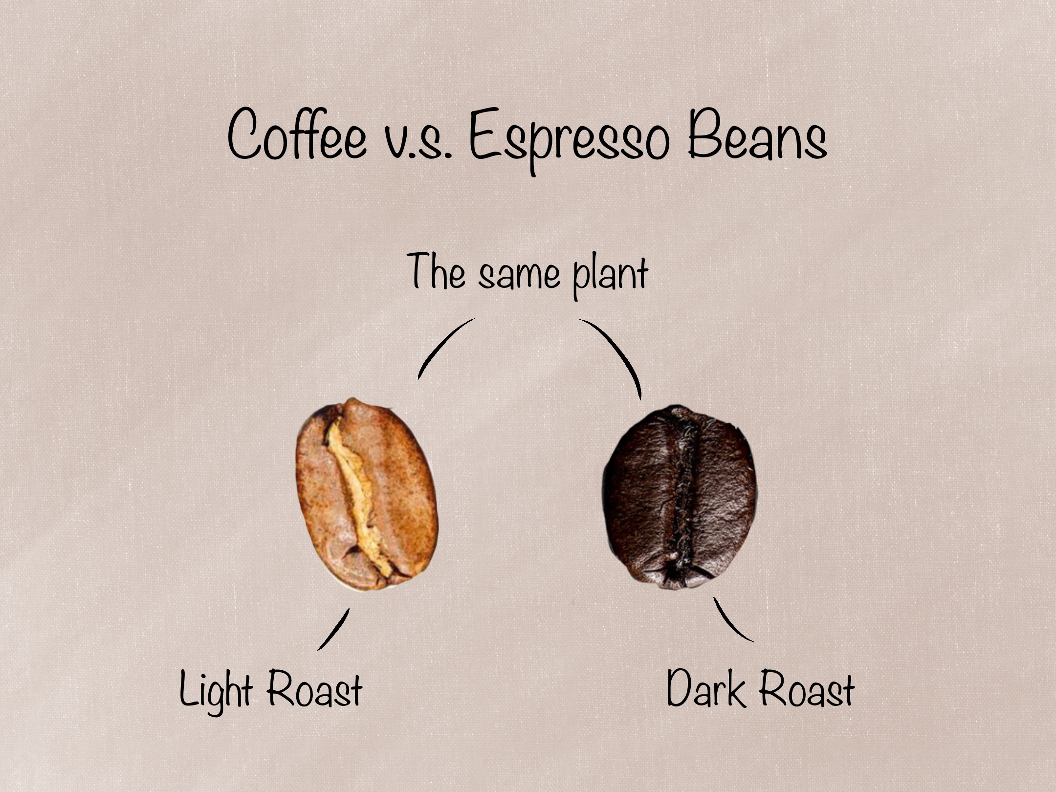 Coffee Beans vs Espresso Beans