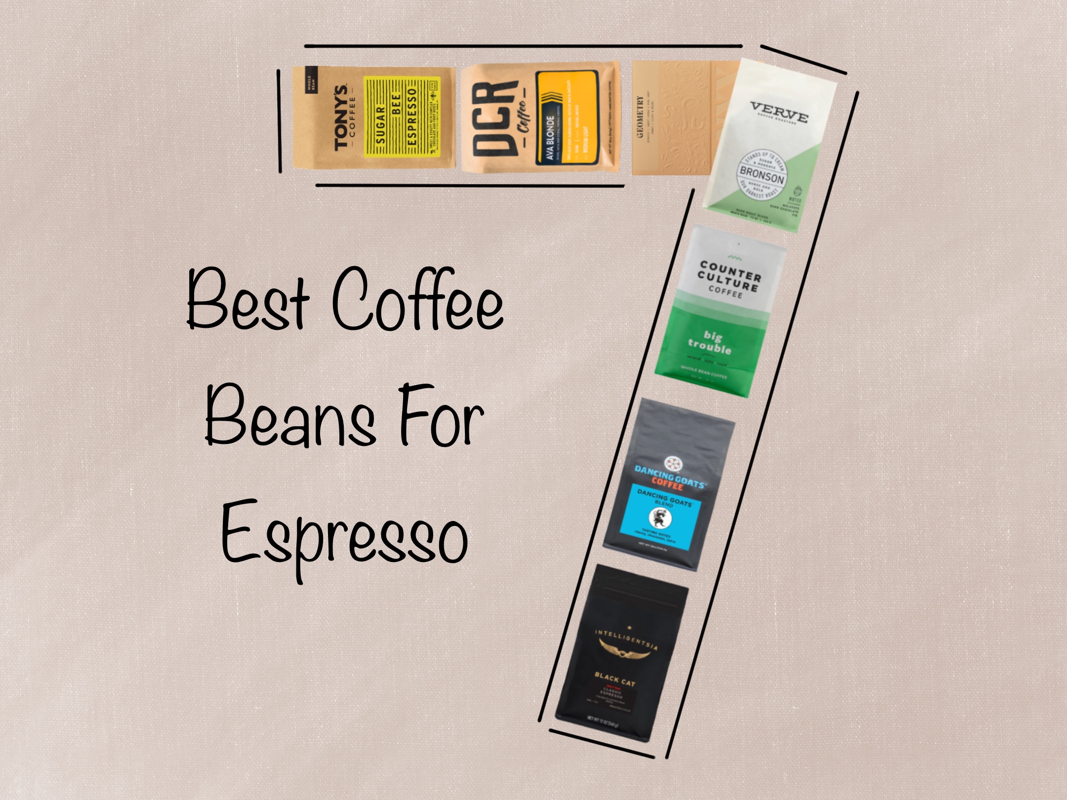 Best coffee beans 2024: Our favourite single origin, blend and